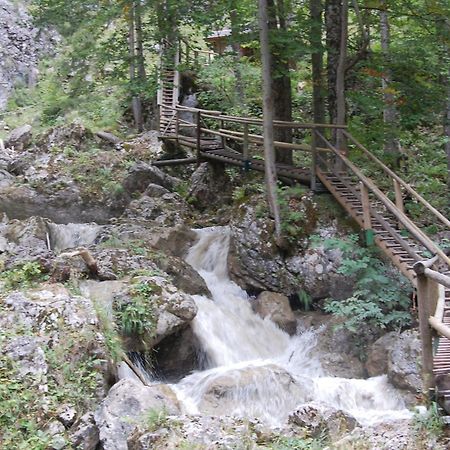 Apartments Am Kirchkogel "Laendliche Entspannung Im Herzen Der Steiermark" Pernegg an der Mur Экстерьер фото